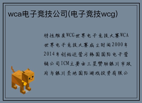 wca电子竞技公司(电子竞技wcg)